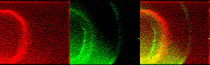 [Proton/electron aurora comparison image]